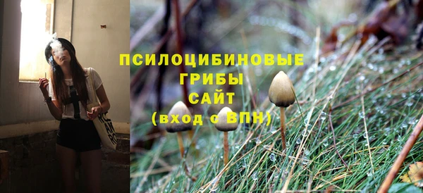дмт Карталы