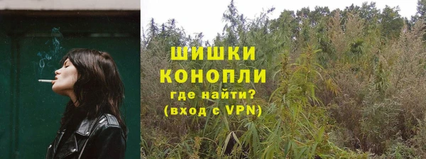 спайс Карпинск