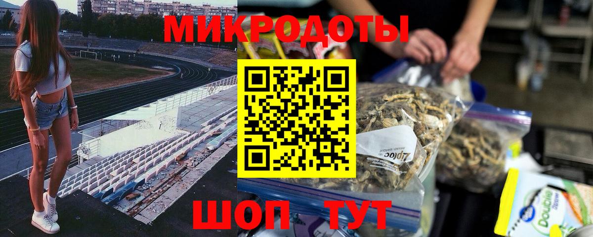 Галлюциногенные грибы Psilocybe Череповец
