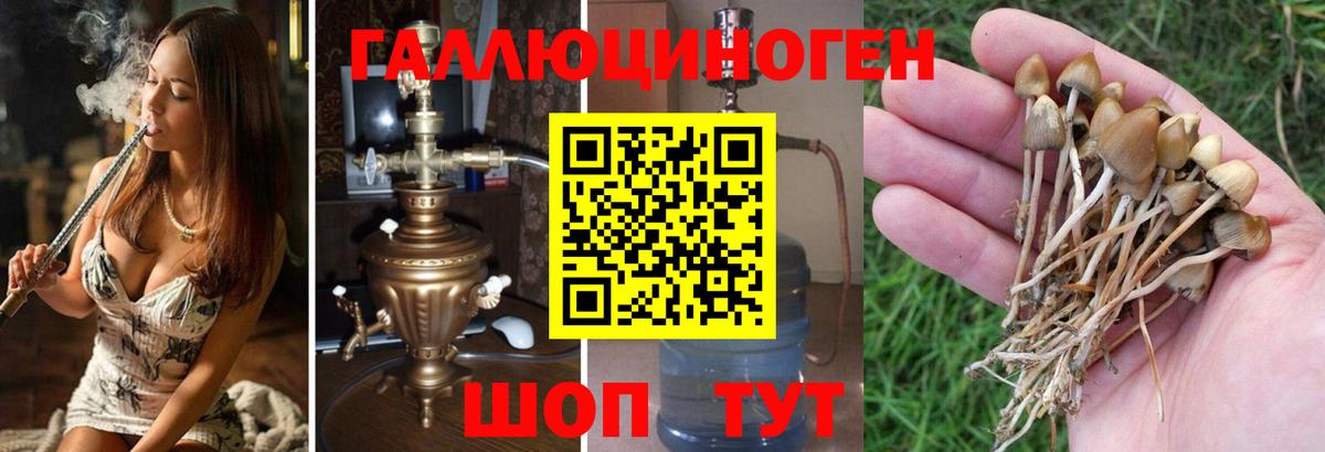 Галлюциногенные грибы мицелий  Вход с VPN  Череповец  Галлюциногенные грибы ЛСД 